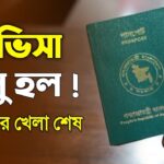 E-Visa Has Been launched for Expatriates.  What is e visa?  Will This Visa be Useful in Saudi?