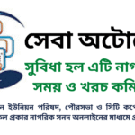 সেবা অটোমেশন ও অনলাইন সনদ প্ল্যাটফর্ম: জনগণের সুবিধা ও বাংলাদেশে স্মার্ট সেবা প্রদানের একটি নতুন উদ্যোগ
